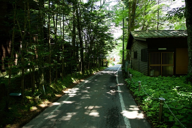 軽井沢散歩道｜長野県 旧軽井沢 つるや旅館｜軽井沢の老舗旅館